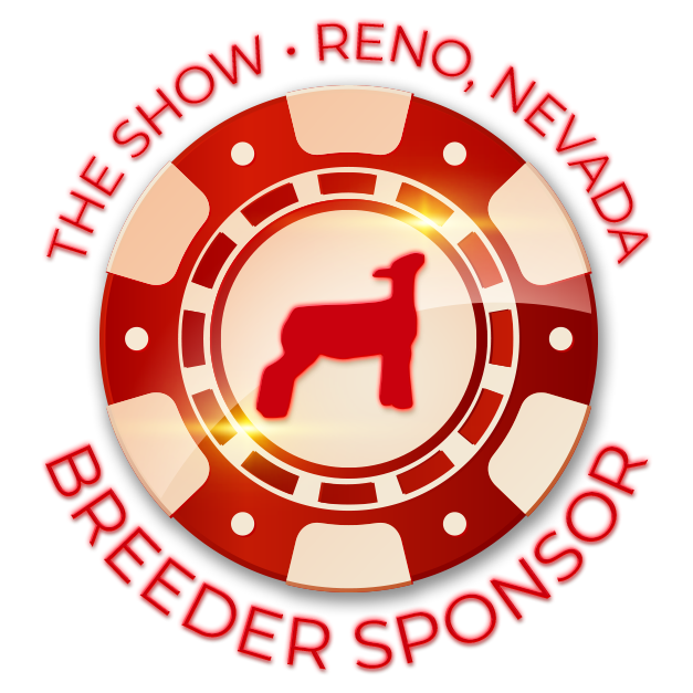 The Show - Reno, Nevada