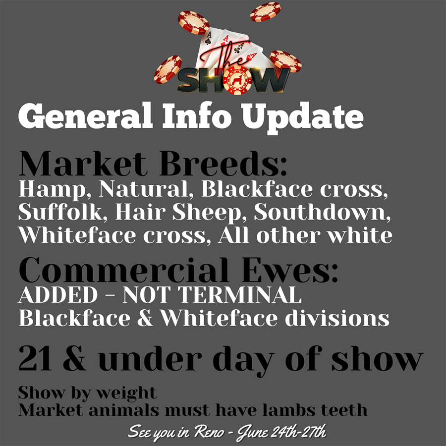 generalupdates The Show