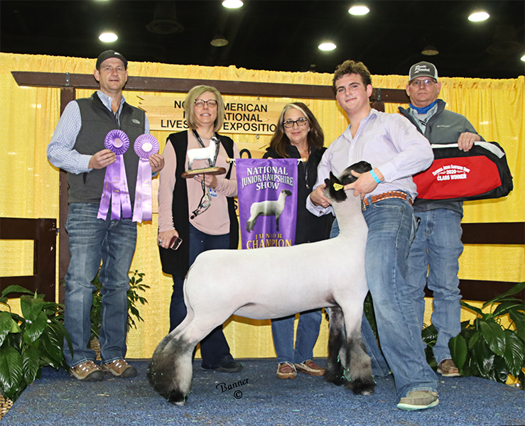 Hobbs Show Lambs Winners