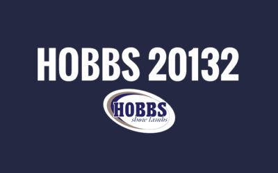 Hobbs 20132