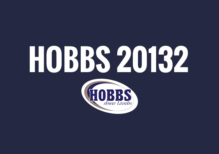 Hobbs Winners