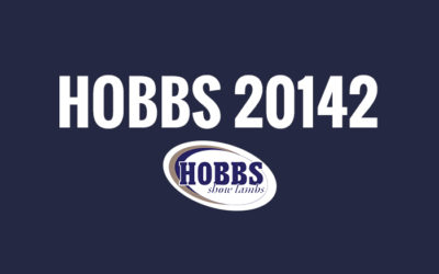 Hobbs 20142