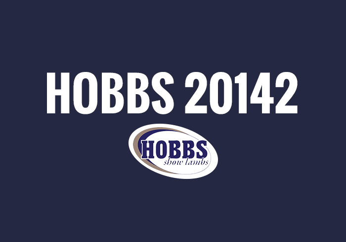 Hobbs Winners