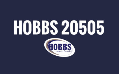 Hobbs 20505