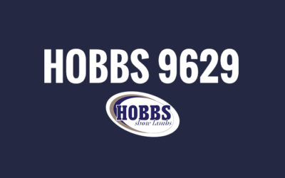 Hobbs 9629