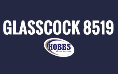 Glasscock 8519