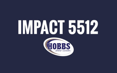 Impact 5512
