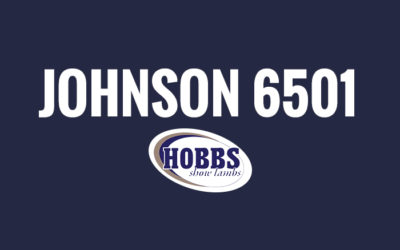 Johnson 6501