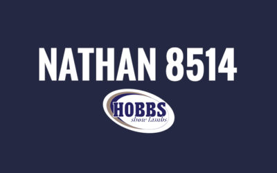 Nathan 8514