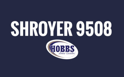 Shroyer 9508