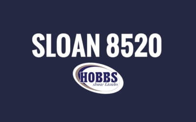 Sloan 8520