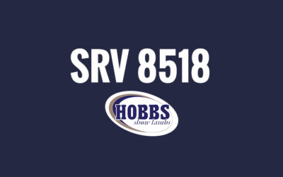 SRV 8518