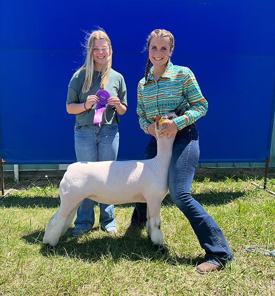 Grand Champion Breeding Ewe, Champion AOB South Central Livestock Exposition
