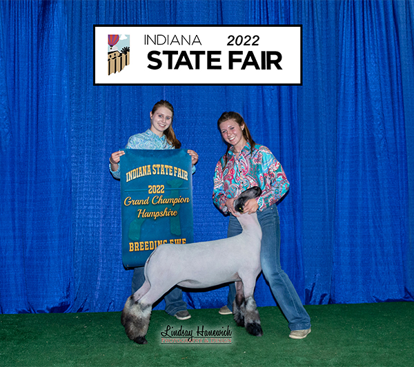 Champion Hampshire Ewe Indiana State Fair