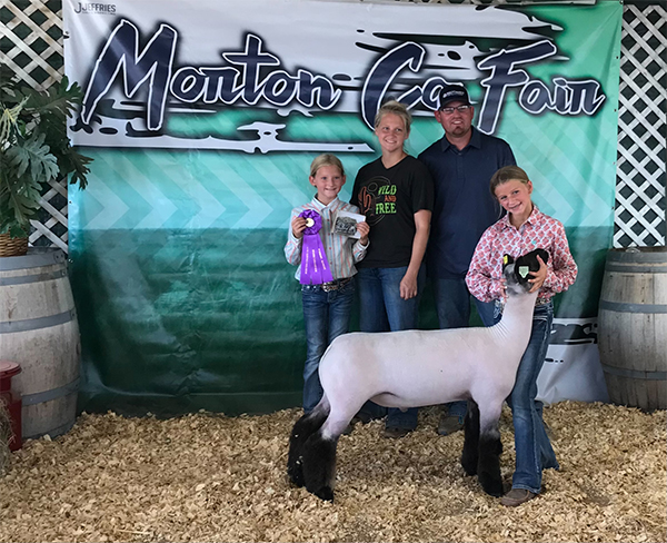 Grand Champion Market Lamb Morton County Fair