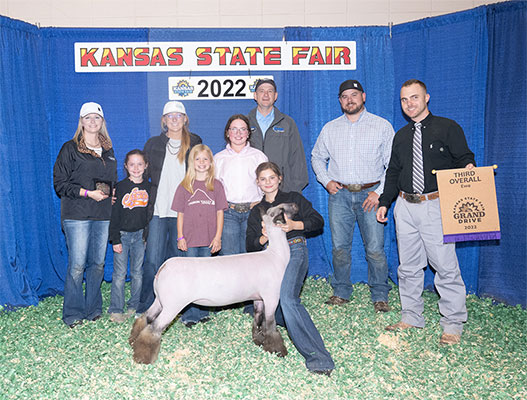 Champion Breeding Ewe  Kansas State Fair