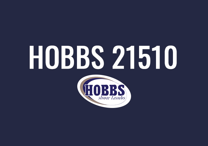 Hobbs 21510