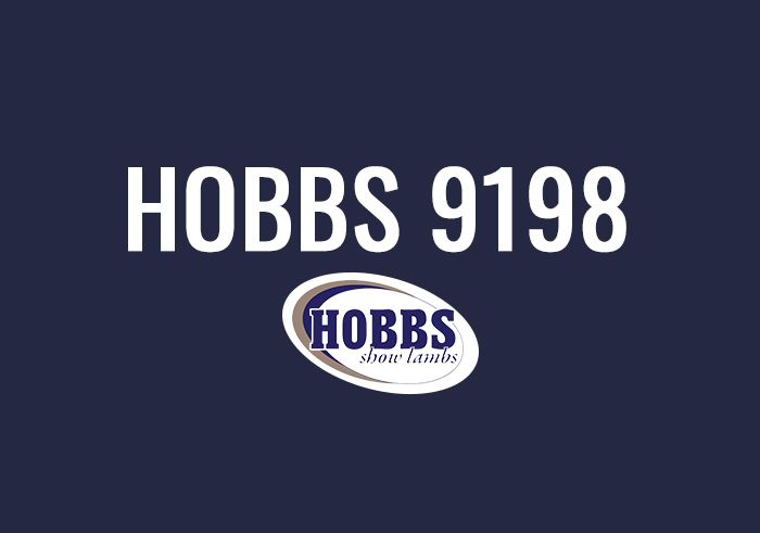 Hobbs 9198