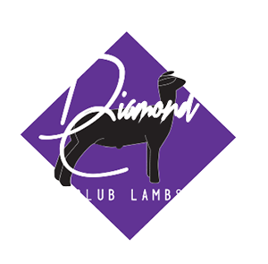 Diamond C Club Lambs