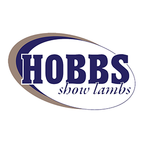Hobbs Show Lambs