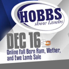 December 16 Online Sale