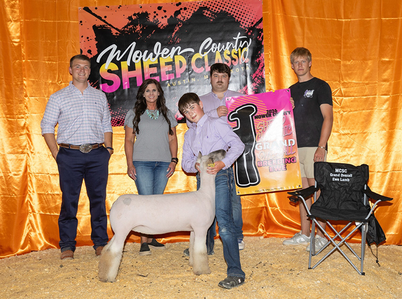 Grand Overall Breeding Ewe, Mowen County Sheep Classic Grand Overall Breeding Ewe, Mowen County Sheep Classic