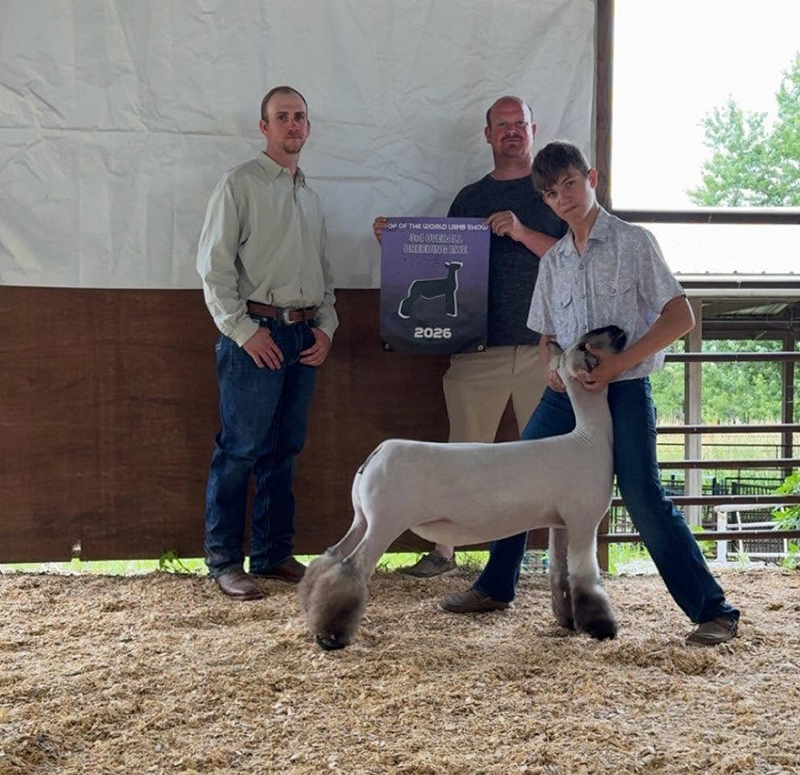 3rd Overall Breeding Ewe, Top of the World Jackpot 3rd Overall Breeding Ewe, Top of the World Jackpot