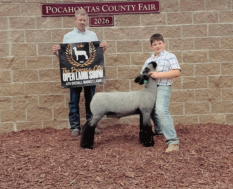 4th Overall Market Lamb, Princess City Open Lamb Show 4th Overall Market Lamb, Princess City Open Lamb Show