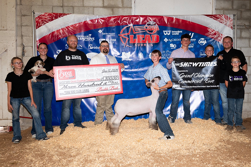 Grand Champion Commercial Ewe, Buckle Bash Grand Champion Commercial Ewe, Buckle Bash