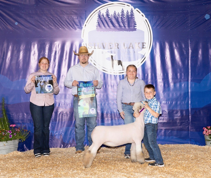 Reserve WFX Ewe – Show A, 3rd Overall – Show B, Silvery Lake Show Down Reserve WFX Ewe – Show A, 3rd Overall – Show B, Silvery Lake Show Down