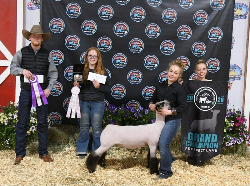 Grand Champion Prospect Lamb, High Altitude Livestock Showdown Grand Champion Prospect Lamb, High Altitude Livestock Showdown