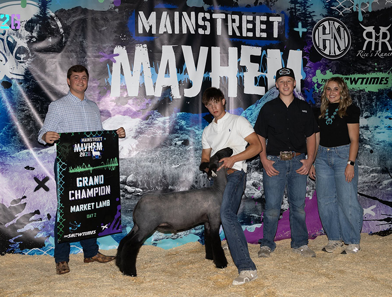 Grand Champion Market Lamb, Mainstreet Mayhem Grand Champion Market Lamb, Mainstreet Mayhem