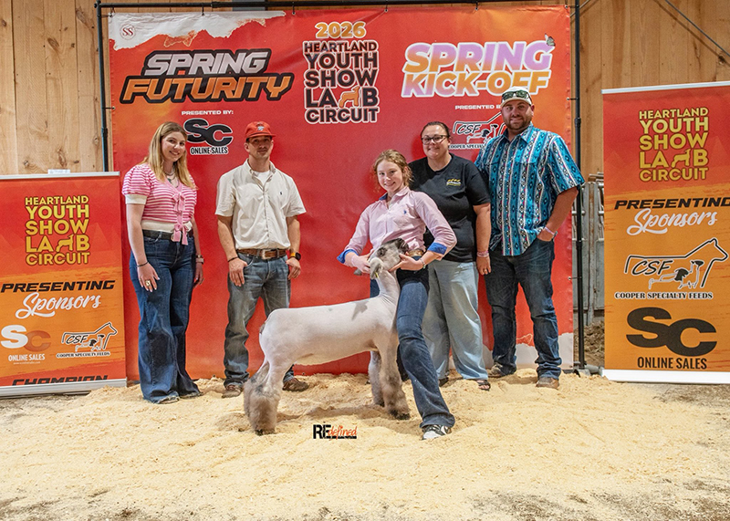 3rd Overall Hamp Ewe, Heartland Kickoff & Futurity 3rd Overall Hamp Ewe, Heartland Kickoff & Futurity