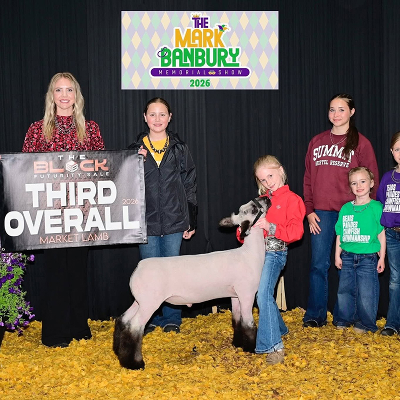 3rd Overall Market Lamb, Reserve BFX Market Lamb, The Block Futurity Sale 3rd Overall Market Lamb, Reserve BFX Market Lamb, The Block Futurity Sale