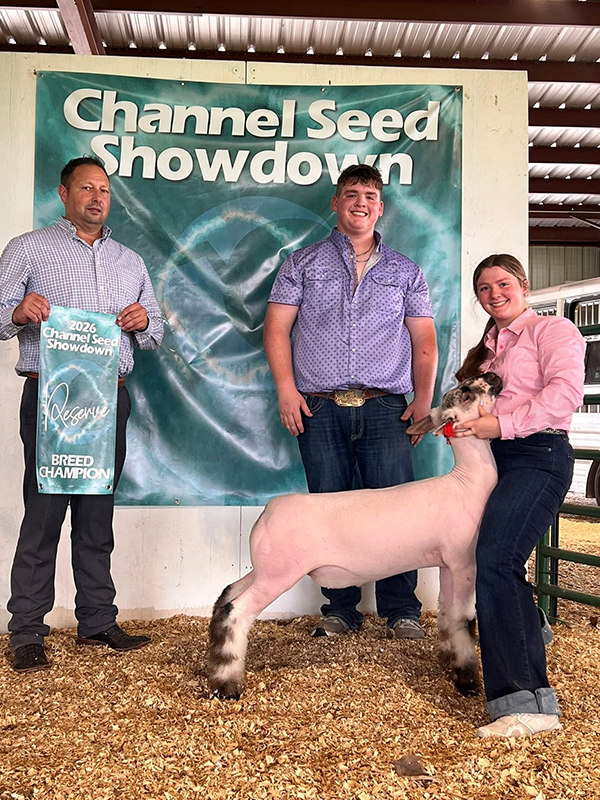 Reserve Champion WFX Market Lamb, Channel Seed Showdown Reserve Champion WFX Market Lamb, Channel Seed Showdown