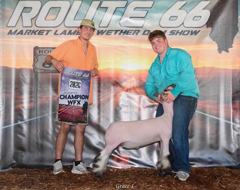 Reserve Champion WFX Market Lamb, Route 66 Classic Reserve Champion WFX Market Lamb, Route 66 Classic