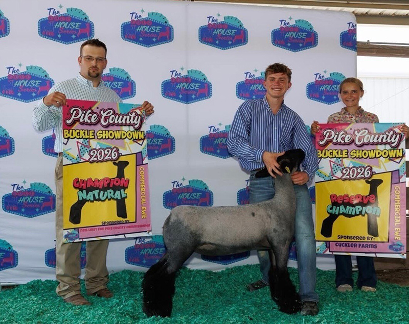 Champion Natural Colored Ewe, Reserve Champion Commercial Ewe, Pike County Buckle Showdown Champion Natural Colored Ewe, Reserve Champion Commercial Ewe, Pike County Buckle Showdown