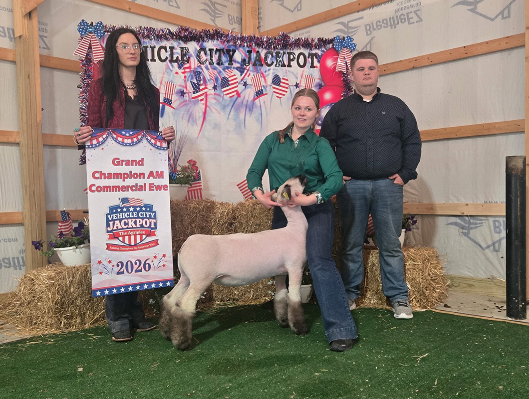 Grand Champion Ewe - Show A 4th Overall Ewe - Show B, Vehicle City Jackpot Grand Champion Ewe - Show A<br />
4th Overall Ewe - Show B, Vehicle City Jackpot