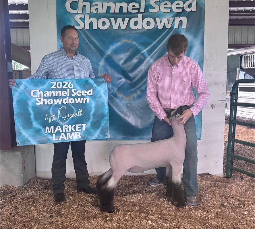 4th Overall Market Lamb, Channel Seed Showdown 4th Overall Market Lamb, Channel Seed Showdown