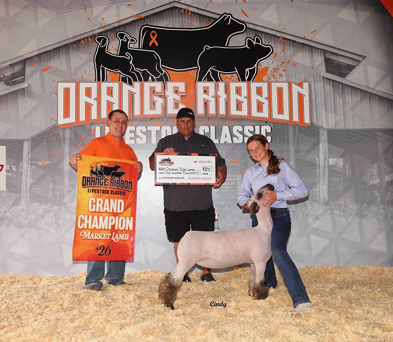 Grand Champion Market Lamb Orange Ribbon Classic Grand Champion Market Lamb<br />
Orange Ribbon Classic