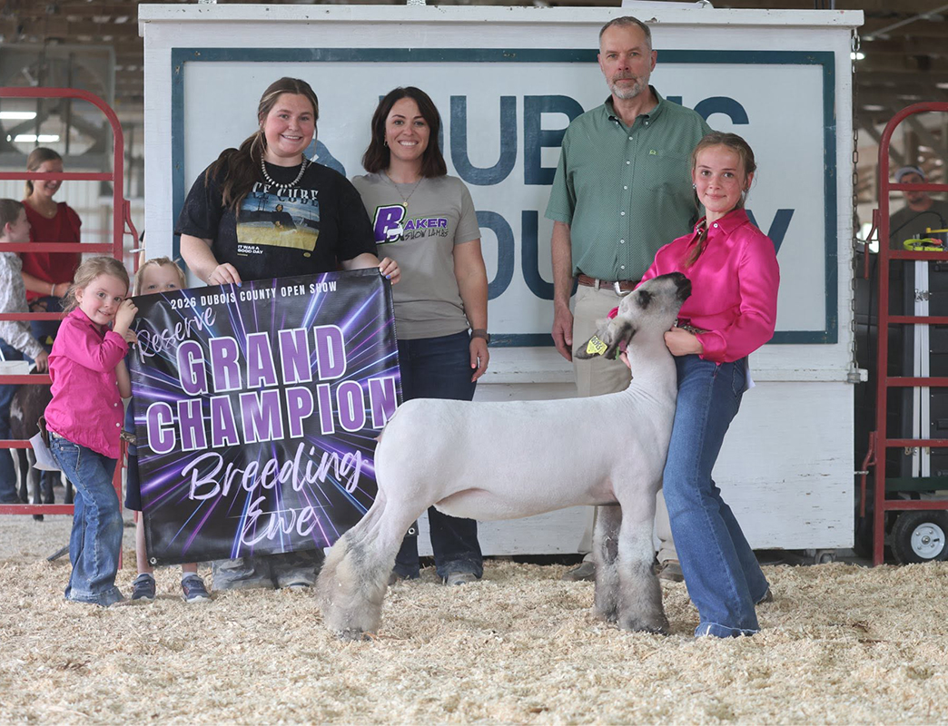 Reserve Overall Breeding Ewe, Dubois County Open Show Reserve Overall Breeding Ewe, Dubois County Open Show