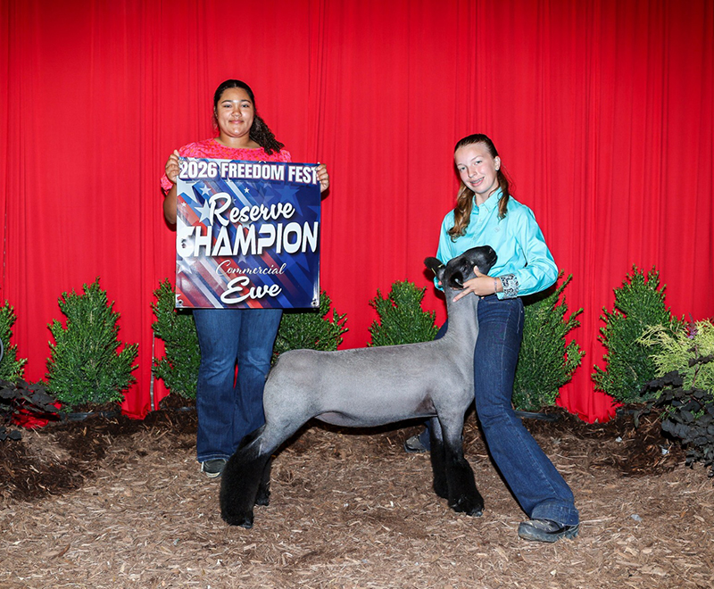 Reserve Champion Commercial Ewe, Freedom Fest Reserve Champion Commercial Ewe, Freedom Fest