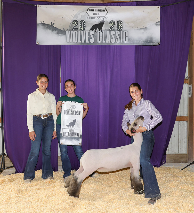 Reserve Hampshire Market Lamb, Parke Wolves Classic Reserve Hampshire Market Lamb, Parke Wolves Classic