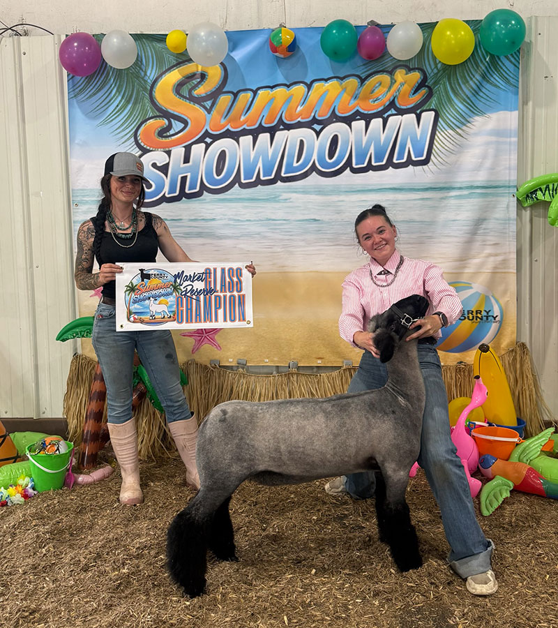 Reserve Champion, Summer Showdown -OH Reserve Champion, Summer Showdown -OH