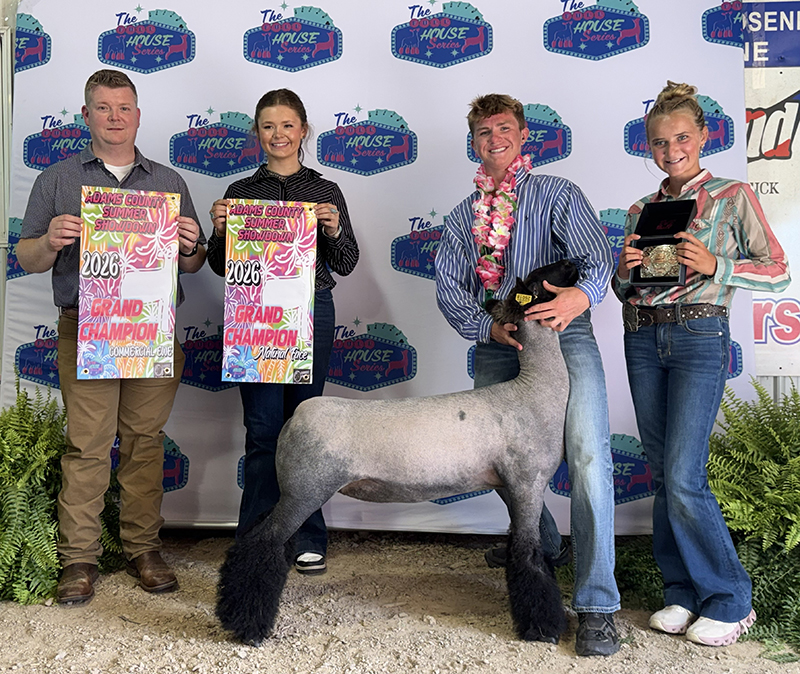 Grand Champion Commercial Ewe Adams County Summer Showdown Grand Champion Commercial Ewe<br />
Adams County Summer Showdown