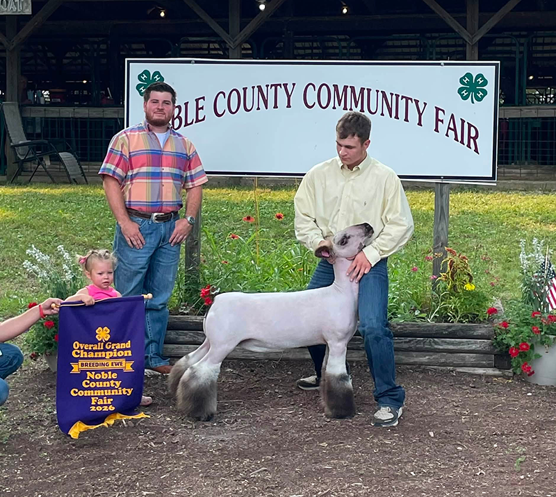 Grand Champion Ewe Noble County Fair Grand Champion Ewe<br />
Noble County Fair