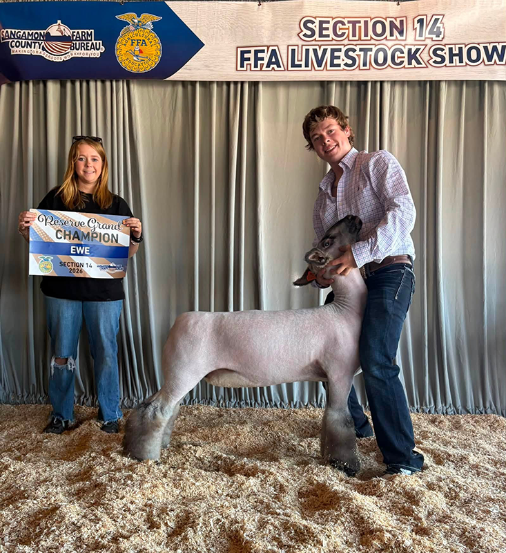Reserve Champion Ewe, Section 14 FFA Show Reserve Champion Ewe, Section 14 FFA Show
