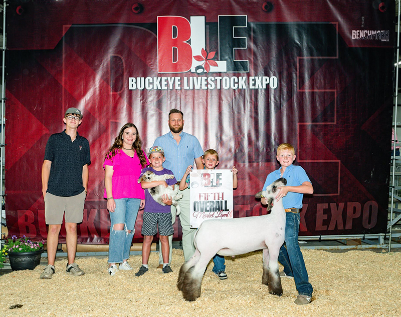 5th Overall Market Lamb, Buckeye Livestock Expo 5th Overall Market Lamb, Buckeye Livestock Expo