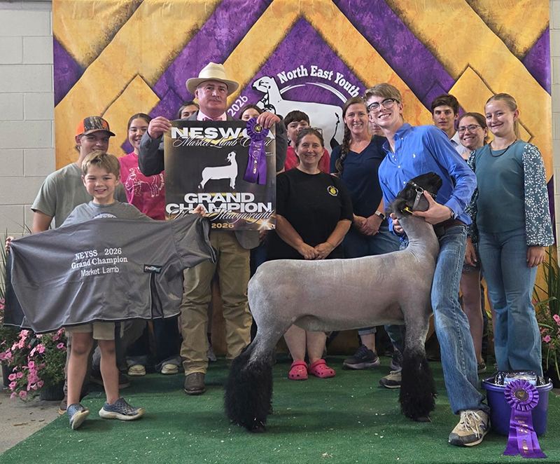 Grand Champion Market Lamb, Northeast Youth Sheep Show Grand Champion Market Lamb, Northeast Youth Sheep Show