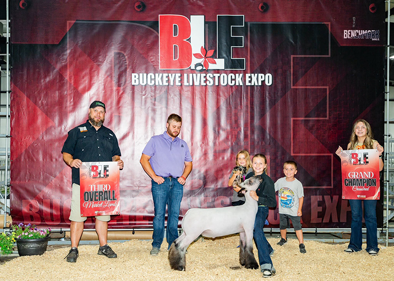 3rd Overall Market Lamb, Champion Crossbred, Buckeye Livestock Expo 3rd Overall Market Lamb, Champion Crossbred, Buckeye Livestock Expo